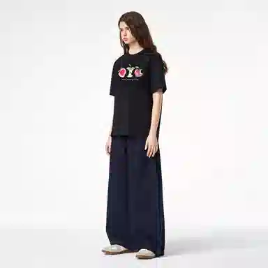 ICONS Lab ICS T
