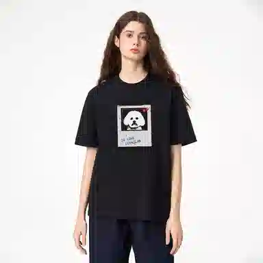 ICONS Lab ICS T