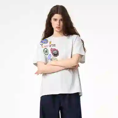ICONS Lab ICS T