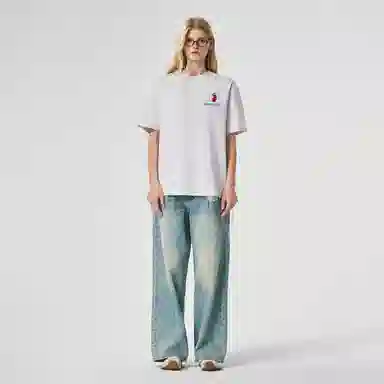 ICONS Lab T