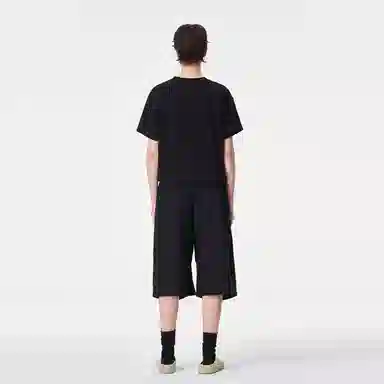 ICONS Lab ICS T