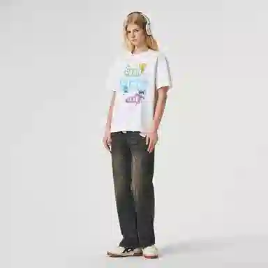 ICONS Lab ICS T