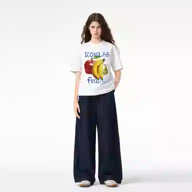 ICONS Lab ICS T