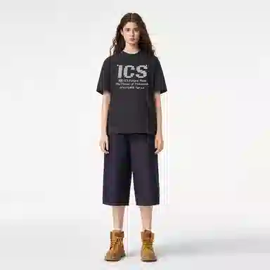 ICONS Lab ICS LogoT