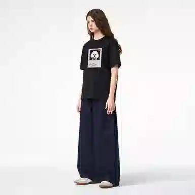 ICONS Lab ICS T