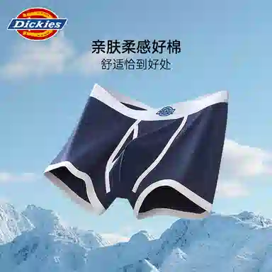 Dickies