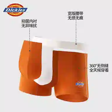 Dickies 10A