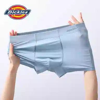 Dickies 1