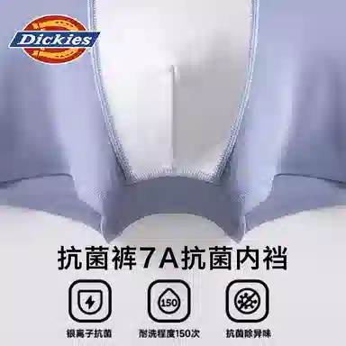 Dickies 3