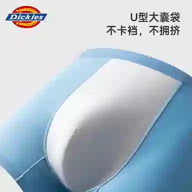 Dickies