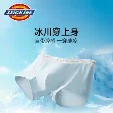 Dickies 3