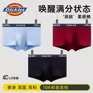 Dickies 3