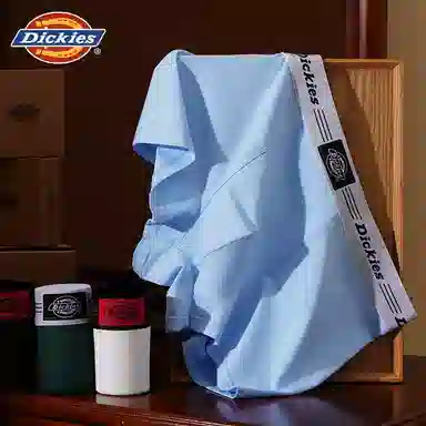 Dickies