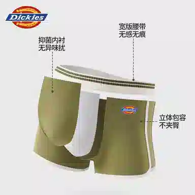 Dickies 10A
