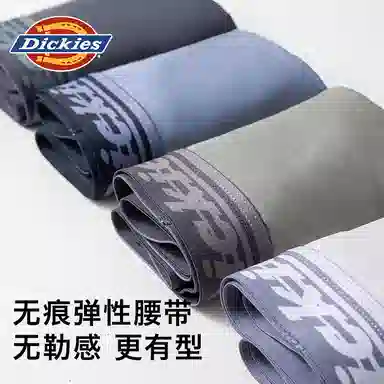 Dickies 3
