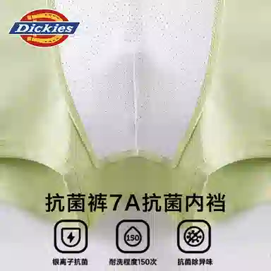 Dickies 3
