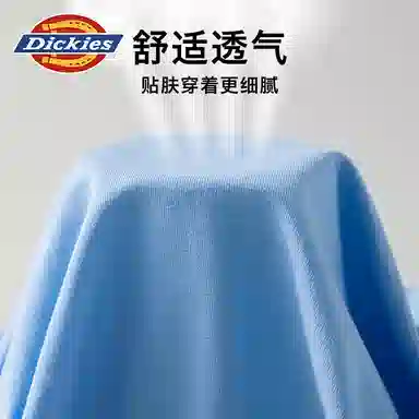 Dickies 3