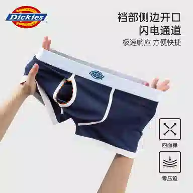 Dickies