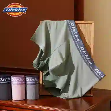Dickies 3