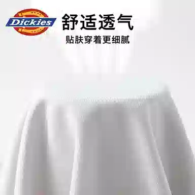 Dickies 3