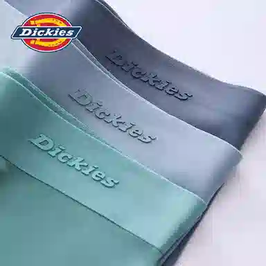 Dickies 1