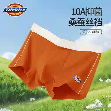 Dickies 10A
