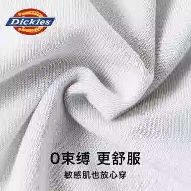 Dickies 3