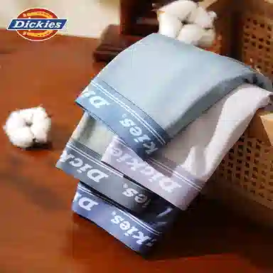 Dickies 3