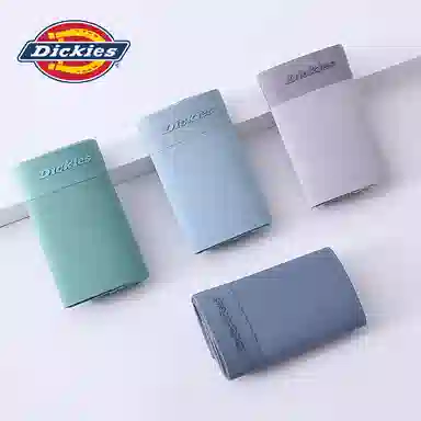 Dickies 1