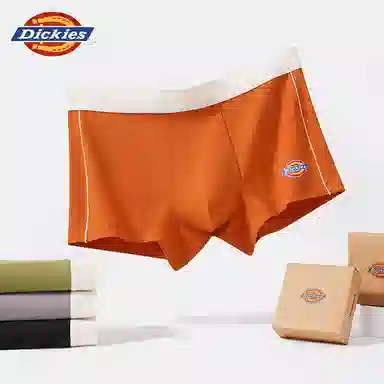 Dickies 10A