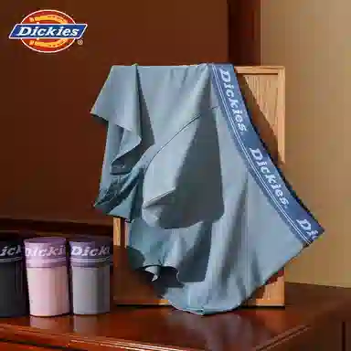 Dickies 3