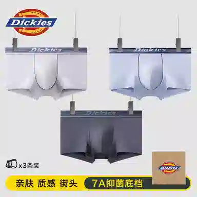 Dickies 3