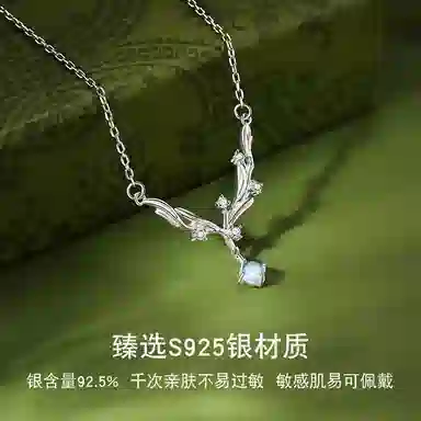 JESCAKOO S925