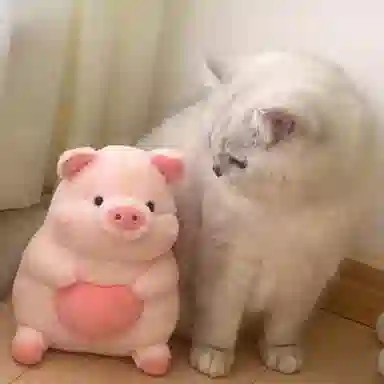 MENGMENGBUNNY 25cm35cm45cm