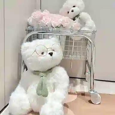 MENGMENGBUNNY 25cm35cm