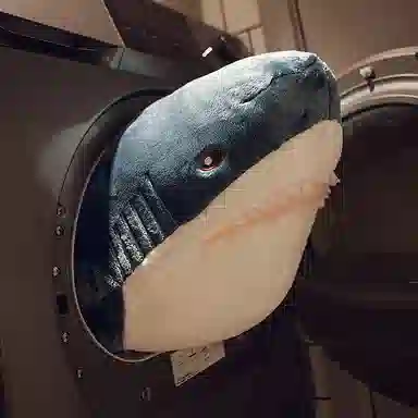 MENGMENGBUNNY 80cm100cm140cm