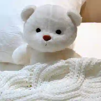 MENGMENGBUNNY 30cm40cm