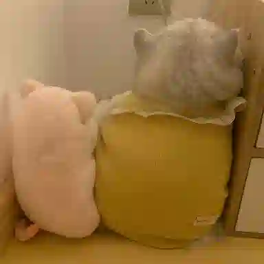 MENGMENGBUNNY 25cm35cm45cm