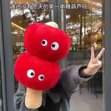 MENGMENGBUNNY 20cm60cm