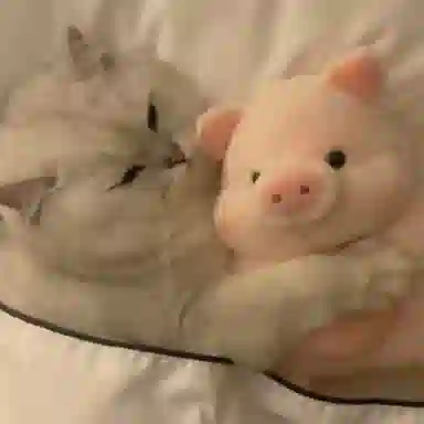 MENGMENGBUNNY 25cm35cm45cm