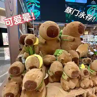 MENGMENGBUNNY 70cm100cm