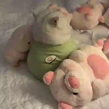 MENGMENGBUNNY 25cm35cm45cm