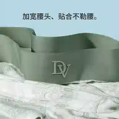 DV 5A 2