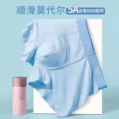 DV 5A 2
