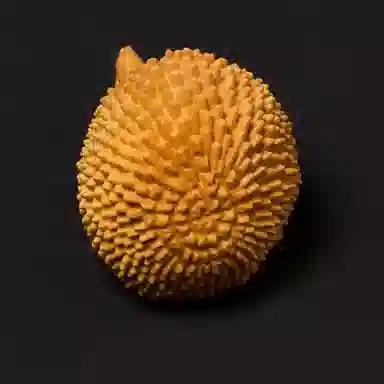 書卓 经典设计款 独占鳌头 刺猬 平安福#好运 黄杨木 木作摆件 男女同款情侣款