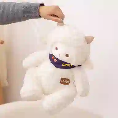 30cm