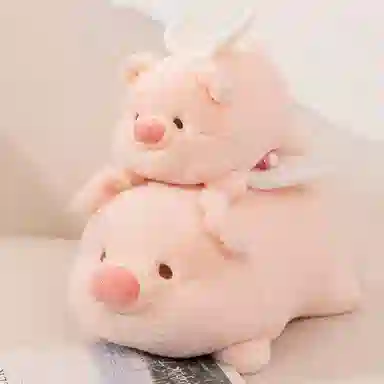 20cm30cm