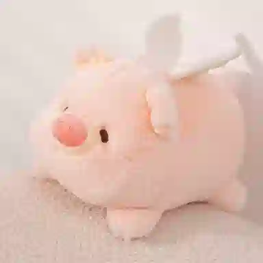 20cm30cm