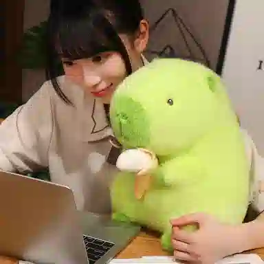 23cm33cm50cm