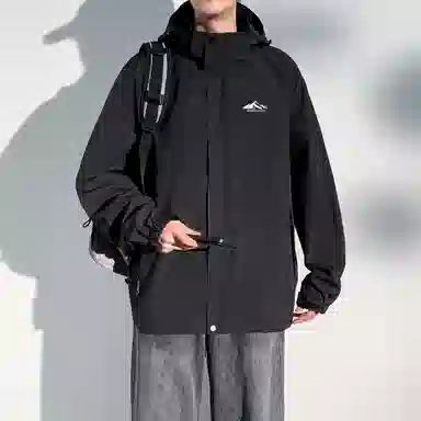 SNOW FLYING 1.0 LOGO